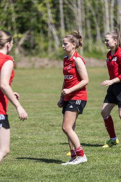 Bild 43 - F SG NieBar - IF Stjernen Flensborg : Ergebnis: 2:0